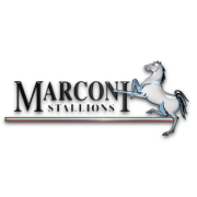 Marconi Stallions (w)