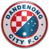 Данденонг Сити U20