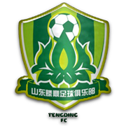 Shandong Tengding