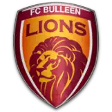 Bulleen Lions (W)