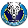 Warri Wolves FC