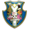 龍仁FC