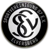SV Elversberg II