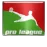 马达加斯加职业联赛