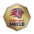 Singapore Charity Shield