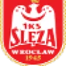 Gawin Sleza Wroclaw