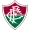 Fluminense RJ (Youth)