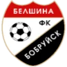 FC 벨시나 바브루이스크