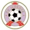FK Ilukste