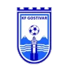FK Rinija Gostivar