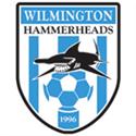 Wilmington Hammerheads