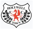 Holywell Town