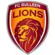 Bulleen Lions F