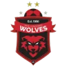 Wollongong Wolves U20