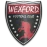 Wexford Youths U19