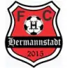 FC 에르만슈타트