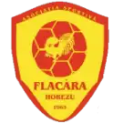 ACS Flacara Horezu
