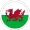 Wales V