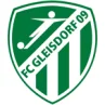 FC Gleisdorf 09 (Aut)