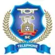 Telephone Organization of Thai