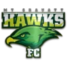 MT Gravatt Hawks