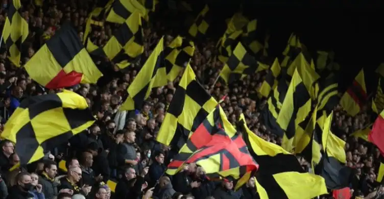 Watford pull out of Qatar friendly after supporter groups protest